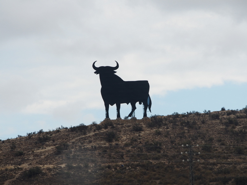 A spanyol bika félelmetes látványa